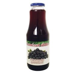 TERMÉSZET ÁLDÁSA GYÜMÖLCSLÉ FEKETESZEDER 1000ML