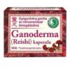 DR.CHEN GANODERMA KAPSZULA 60DB (REISHI) DR.CHEN GANODERMA KAPSZULA 60DB (REISHI)