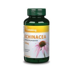   BÍBOR KASVIRÁG KIVONAT (ECHINACEA) KAPSZULA 250 MG (VITAKING) 90 DB