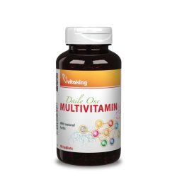 DAILY ONE MULTIVITAMIN 90 DB  (VITAKING)