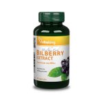 FEKETE ÁFONYA (Bilberry) KAPSZULA 470 mg (Vitaking) 90 db